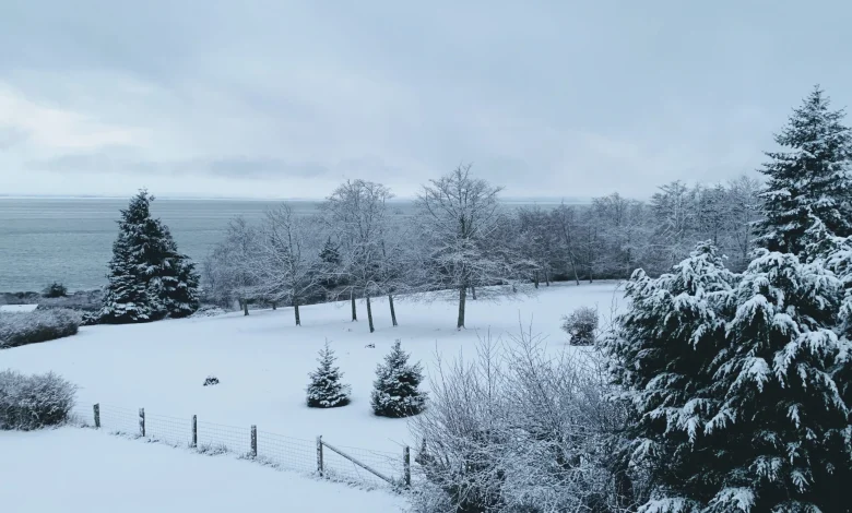 Bundle up, B.C. : Province calls for winter prep as cold moves in