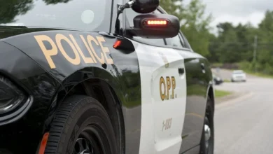 Bus driver dead after collision on westbound 401 carrying students