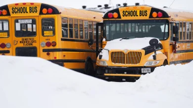 Buses cancelled across Waterloo Region