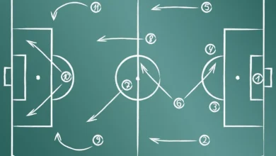 CA - EST : Formation rentrante