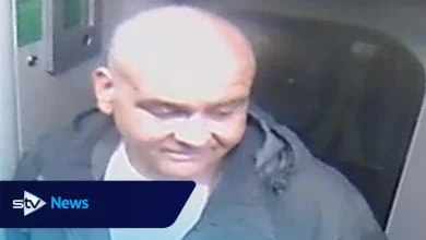 CCTV image released after incident on board train