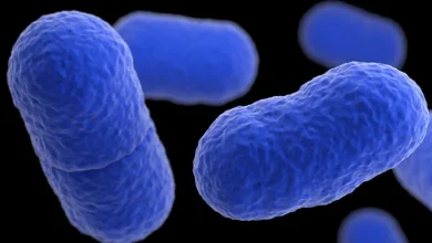 CDC continues to note illnesses despite product recalls and asks consumers to check for recalled foods in Listeria outbreak linked to prepared meals