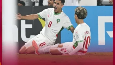 CDM U17 : Les Lionceaux qualifiés pour les 8es face au Mali mardi prochain