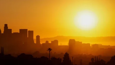 COP30: Are climate summits saving the world - or just hot air?