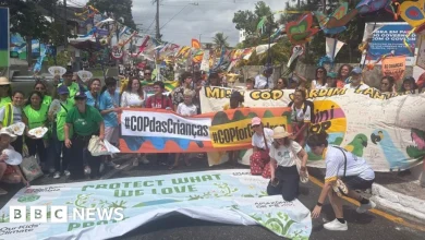 COP30: Crowds march on doorstep of UN climate talks in Brazil
