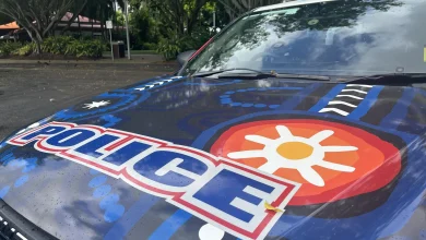 Cairns Overnight Crime Wrap – November 11
