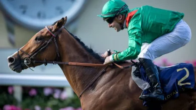 Calandgan scores close to £5 million with history-making Japan Cup success