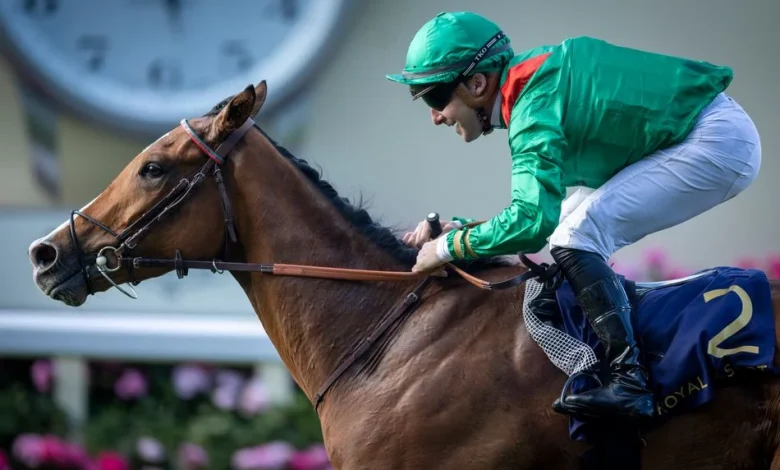 Calandgan scores close to £5 million with history-making Japan Cup success