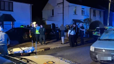 Caldicot dog attack: 9-month-old baby dies as armed police swarm scene