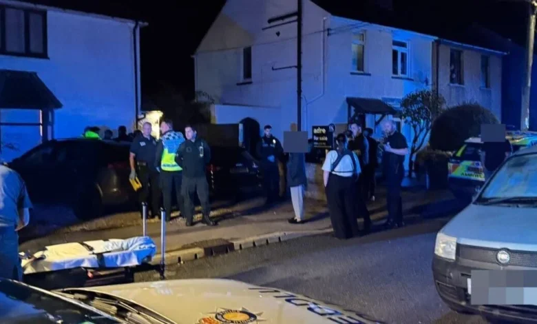 Caldicot dog attack: 9-month-old baby dies as armed police swarm scene