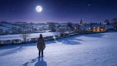 Calendrier lunaire décembre 2025 : la dernière super Pleine lune froide de l’année arrive, c'est le moment précis où tout pourrait bousculer