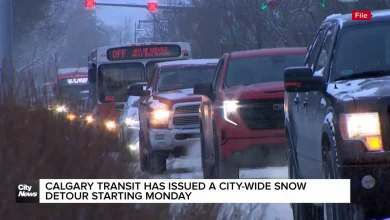 Calgary Transit has issued a city-wide snow detour starting Monday