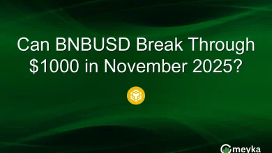 Can BNBUSD Break Through $1000 in November 2025?