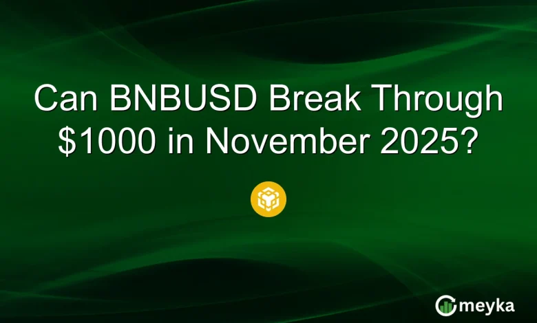 Can BNBUSD Break Through $1000 in November 2025?