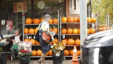 Canada Post rotating strikes could broaden as holiday season nears, labour analysts say