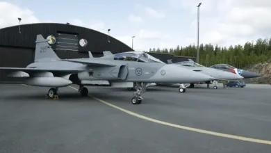 Canada needs ‘more details’ on Swedish Gripen fighter jet deal, Joly says
