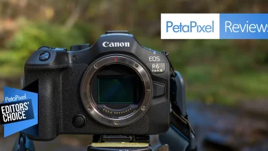 Canon EOS R6 III Review: Predictably Excellent