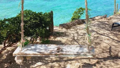 Caribbean Photo of the Week: Swinging to Paradise in Aruba