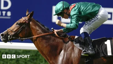 Cartier Racing Awards: Calandagan named horse of the year