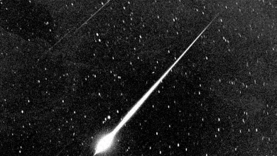 Catch a ‘Shooting Star’ as Leonid Meteor Shower Peaks Tonight