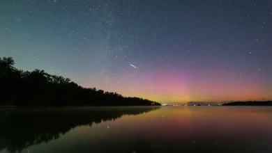 Catch the Taurid Meteor Shower—And Learn Why Scientists Are Watching It Closely