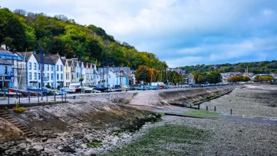 Catherine Zeta-Jones' daughter says Hollywood family eat chips from village takeaway when in Wales