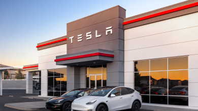 Cathie Wood Is Selling Tesla and Buying This "Magnificent Seven" Stock Instead