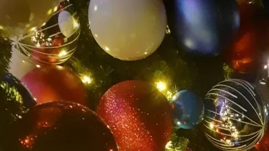 Celebrate Christmas in Southampton with a ‘SEE Southampton’ seasonal walk