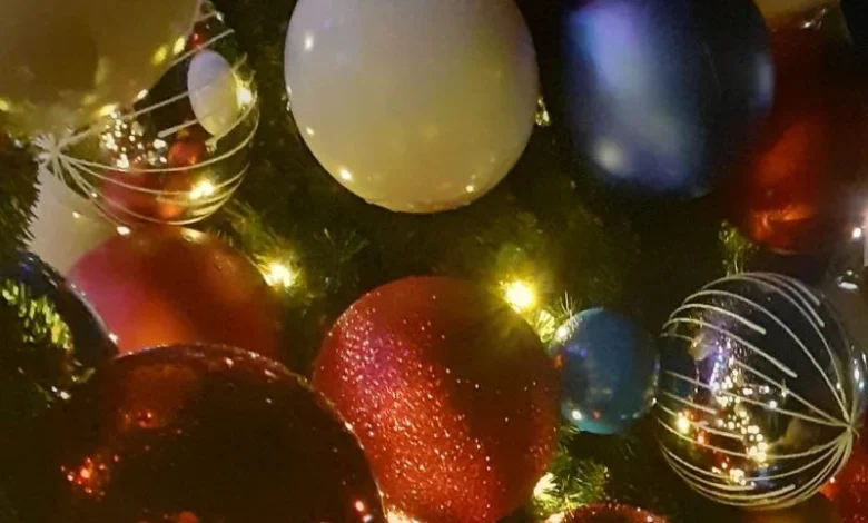 Celebrate Christmas in Southampton with a ‘SEE Southampton’ seasonal walk