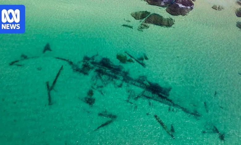 Century-old shipwreck re-emerges at popular Sydney beach