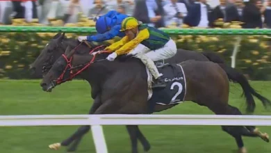 Ceolwulf﻿ wins Champions Mile in photo finish as favourites fall well short