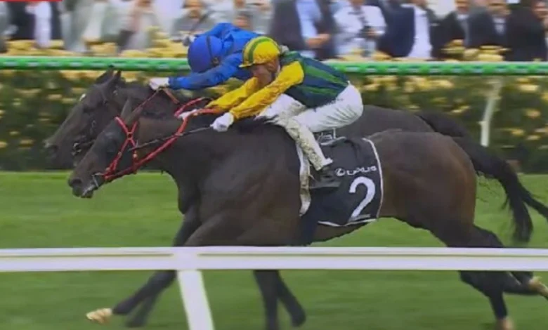 Ceolwulf﻿ wins Champions Mile in photo finish as favourites fall well short