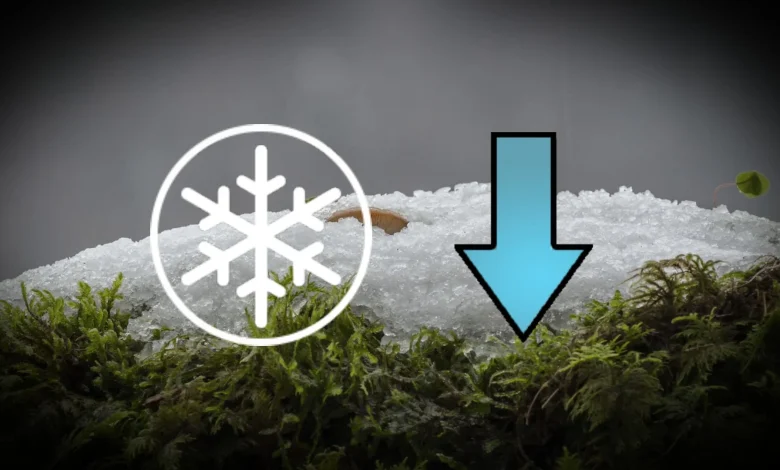 Cette semaine prendra une tournure inattendue au Québec