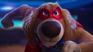 Charlie the Wonderdog - Official Trailer