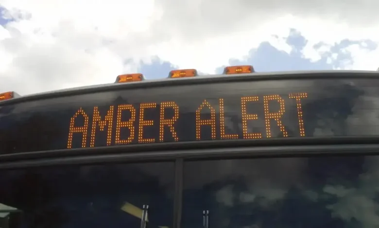 Charlotte Amber Alert Update: Missing Infant Found After Abduction Report on Monroe Road