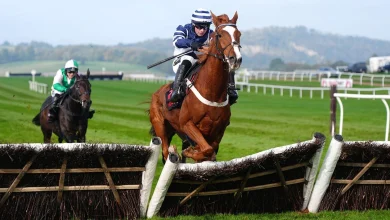 Cheltenham November Meeting latest news | Sam Thomas on weather watch with Celtic Dino