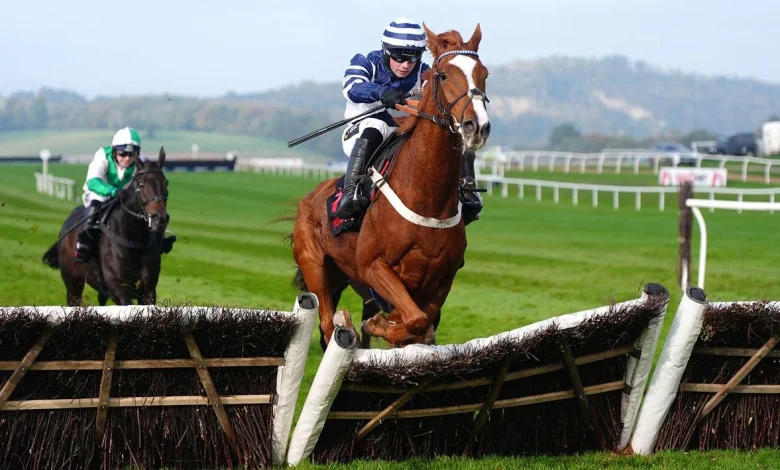 Cheltenham November Meeting latest news | Sam Thomas on weather watch with Celtic Dino