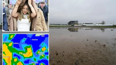 Cheltenham races ON but bosses still 'monitoring conditions' as warnings remain
