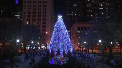 Chicago Tree Lighting Ceremony: Official city Christmas tree to light up Millennium Park Friday