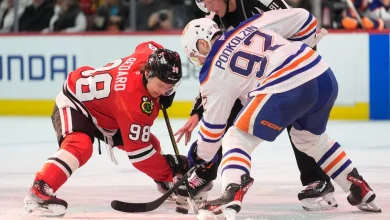 Chicago and Edmonton