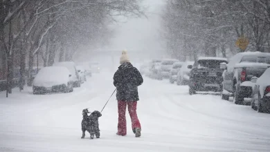 Chicago braces for major snowstorm that could dump up to 12 inches