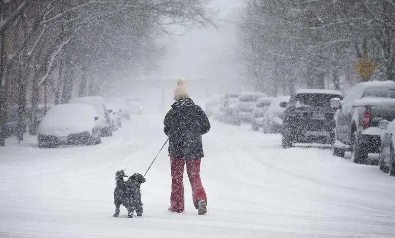 Chicago braces for major snowstorm that could dump up to 12 inches