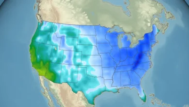 Chicago could see historic double-digit November snow as an Arctic blast spreads across much of the US