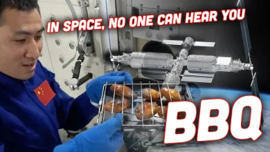Chicken Wings And Steak Are Being Cooked In Orbit In China’s New Space Oven