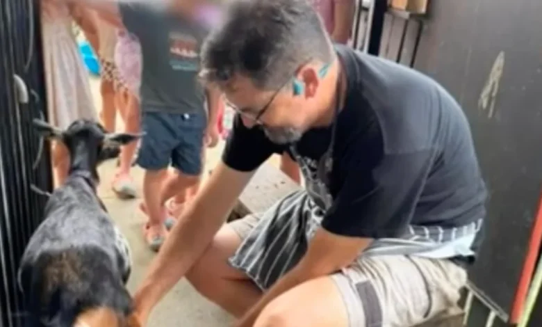 Child sex offender working in close proximity to children at south-east Queensland cafe and petting zoo