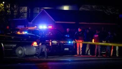 Children killed in mass shooting at birthday party in Stockton, California