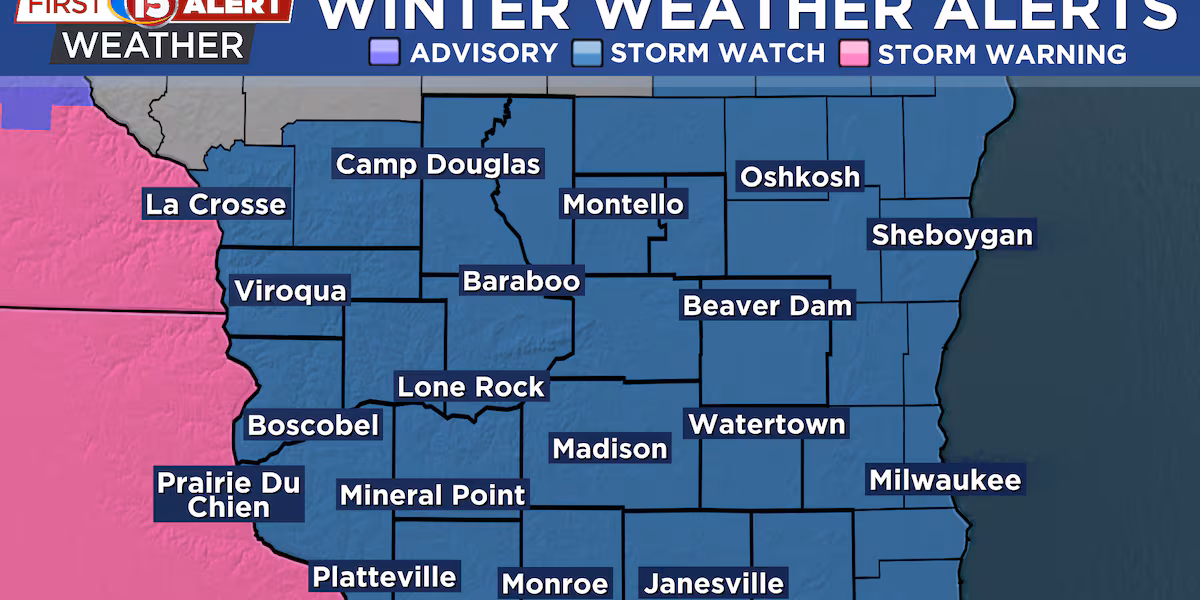 Chilly And Calm Looking For Black Friday Shopping