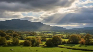 Chilly Evenings and Breezy Days: Your Wales Weather Update for October 26