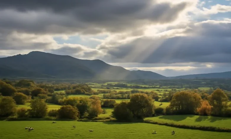 Chilly Evenings and Breezy Days: Your Wales Weather Update for October 26