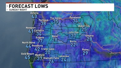 Chilly & Soggy Start to the Thanksgiving Week